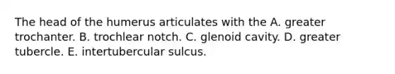 The head of the humerus articulates with the A. greater trochanter. B. trochlear notch. C. glenoid cavity. D. greater tubercle. E. intertubercular sulcus.