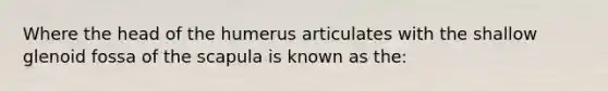 Where the head of the humerus articulates with the shallow glenoid fossa of the scapula is known as the: