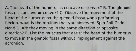 A. The head of the humerus is concave or convex? B. The glenoid fossa is concave or convex? C. Observe the movement of the head of the humerus on the glenoid fossa when performing flexion. what is the motions that you observed. Spin Roll Glide None D. Are they moving in the same direction or opposite direction? E. List the muscles that assist the head of the humerus to move in the glenoid fossa without impingement against the acromion.