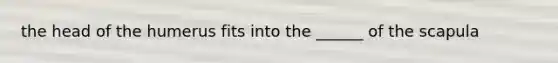 the head of the humerus fits into the ______ of the scapula