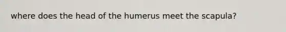 where does the head of the humerus meet the scapula?