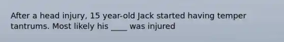 After a head injury, 15 year-old Jack started having temper tantrums. Most likely his ____ was injured