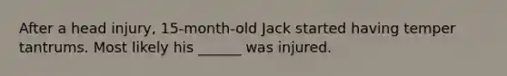 After a head injury, 15-month-old Jack started having temper tantrums. Most likely his ______ was injured.