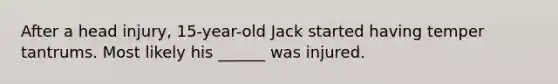 After a head injury, 15-year-old Jack started having temper tantrums. Most likely his ______ was injured.