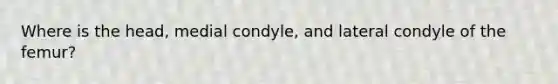 Where is the head, medial condyle, and lateral condyle of the femur?