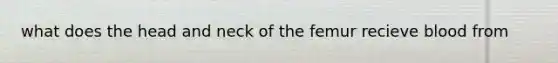 what does the head and neck of the femur recieve blood from