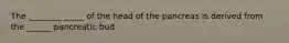 The ________ _____ of the head of the pancreas is derived from the ______ pancreatic bud