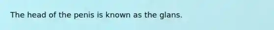 The head of the penis is known as the glans.