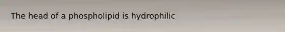 The head of a phospholipid is hydrophilic