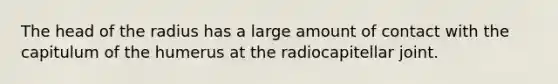 The head of the radius has a large amount of contact with the capitulum of the humerus at the radiocapitellar joint.