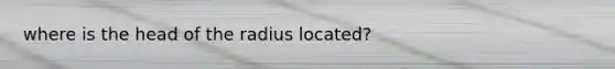 where is the head of the radius located?