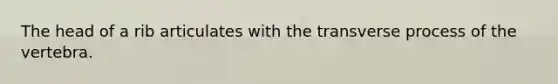 The head of a rib articulates with the transverse process of the vertebra.