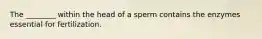 The ________ within the head of a sperm contains the enzymes essential for fertilization.