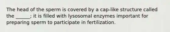 The head of the sperm is covered by a cap-like structure called the ______; it is filled with lysosomal enzymes important for preparing sperm to participate in fertilization.