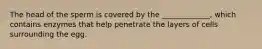 The head of the sperm is covered by the _____________, which contains enzymes that help penetrate the layers of cells surrounding the egg.