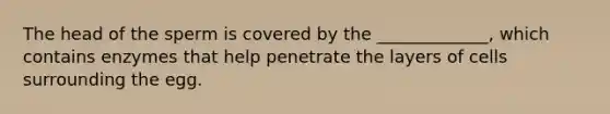 The head of the sperm is covered by the _____________, which contains enzymes that help penetrate the layers of cells surrounding the egg.