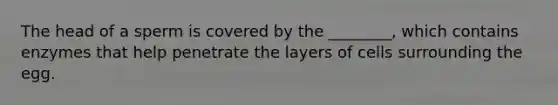 The head of a sperm is covered by the ________, which contains enzymes that help penetrate the layers of cells surrounding the egg.