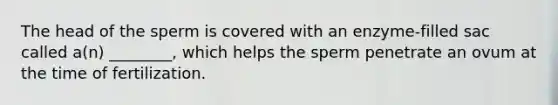 The head of the sperm is covered with an enzyme-filled sac called a(n) ________, which helps the sperm penetrate an ovum at the time of fertilization.