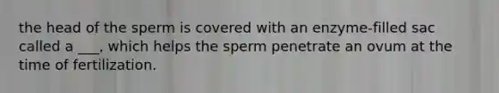 the head of the sperm is covered with an enzyme-filled sac called a ___, which helps the sperm penetrate an ovum at the time of fertilization.