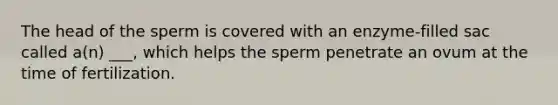 The head of the sperm is covered with an enzyme-filled sac called a(n) ___, which helps the sperm penetrate an ovum at the time of fertilization.