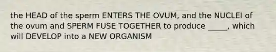 the HEAD of the sperm ENTERS THE OVUM, and the NUCLEI of the ovum and SPERM FUSE TOGETHER to produce _____, which will DEVELOP into a NEW ORGANISM