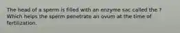 The head of a sperm is filled with an enzyme sac called the ? Which helps the sperm penetrate an ovum at the time of fertilization.