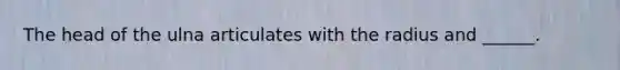 The head of the ulna articulates with the radius and ______.