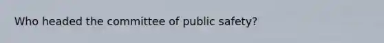 Who headed the committee of public safety?