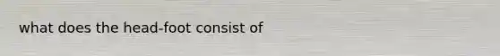 what does the head-foot consist of