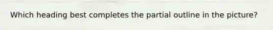 Which heading best completes the partial outline in the picture?