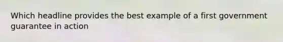 Which headline provides the best example of a first government guarantee in action