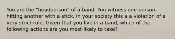 You are the "headperson" of a band. You witness one person hitting another with a stick. In your society this a a violation of a very strict rule. Given that you live in a band, which of the following actions are you most likely to take?