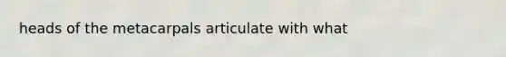 heads of the metacarpals articulate with what