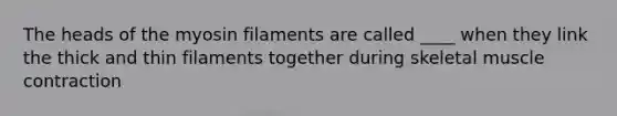 The heads of the myosin filaments are called ____ when they link the thick and thin filaments together during skeletal muscle contraction