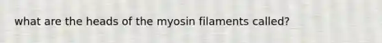 what are the heads of the myosin filaments called?