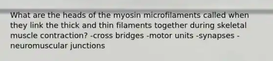 What are the heads of the myosin microfilaments called when they link the thick and thin filaments together during skeletal muscle contraction? -cross bridges -motor units -synapses -neuromuscular junctions