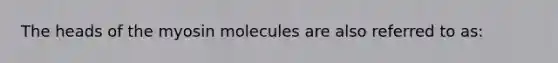 The heads of the myosin molecules are also referred to as: