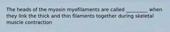 The heads of the myosin myofilaments are called _________ when they link the thick and thin filaments together during skeletal muscle contraction