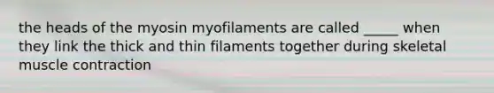 the heads of the myosin myofilaments are called _____ when they link the thick and thin filaments together during skeletal muscle contraction