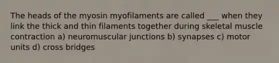 The heads of the myosin myofilaments are called ___ when they link the thick and thin filaments together during skeletal muscle contraction a) neuromuscular junctions b) synapses c) motor units d) cross bridges