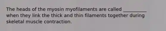 The heads of the myosin myofilaments are called __________ when they link the thick and thin filaments together during skeletal <a href='https://www.questionai.com/knowledge/k0LBwLeEer-muscle-contraction' class='anchor-knowledge'>muscle contraction</a>.