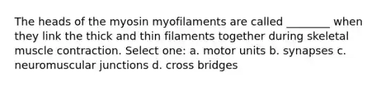 The heads of the myosin myofilaments are called ________ when they link the thick and thin filaments together during skeletal muscle contraction. Select one: a. motor units b. synapses c. neuromuscular junctions d. cross bridges