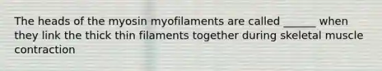 The heads of the myosin myofilaments are called ______ when they link the thick thin filaments together during skeletal muscle contraction