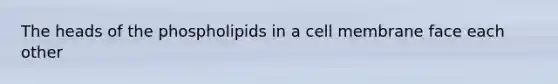The heads of the phospholipids in a cell membrane face each other