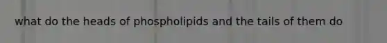 what do the heads of phospholipids and the tails of them do