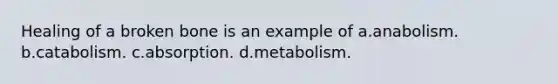 Healing of a broken bone is an example of a.anabolism. b.catabolism. c.absorption. d.metabolism.