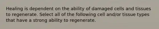 Healing is dependent on the ability of damaged cells and tissues to regenerate. Select all of the following cell and/or tissue types that have a strong ability to regenerate.