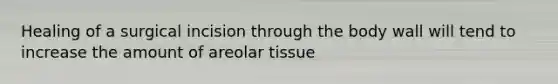 Healing of a surgical incision through the body wall will tend to increase the amount of areolar tissue