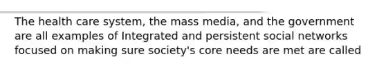 The health care system, the mass media, and the government are all examples of Integrated and persistent social networks focused on making sure society's core needs are met are called