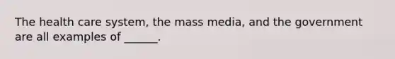 The health care system, the mass media, and the government are all examples of ______.